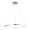Leuchten Direkt 11524-21 - Suspension LED avec fil CIRCLE LED/28,5W/230V