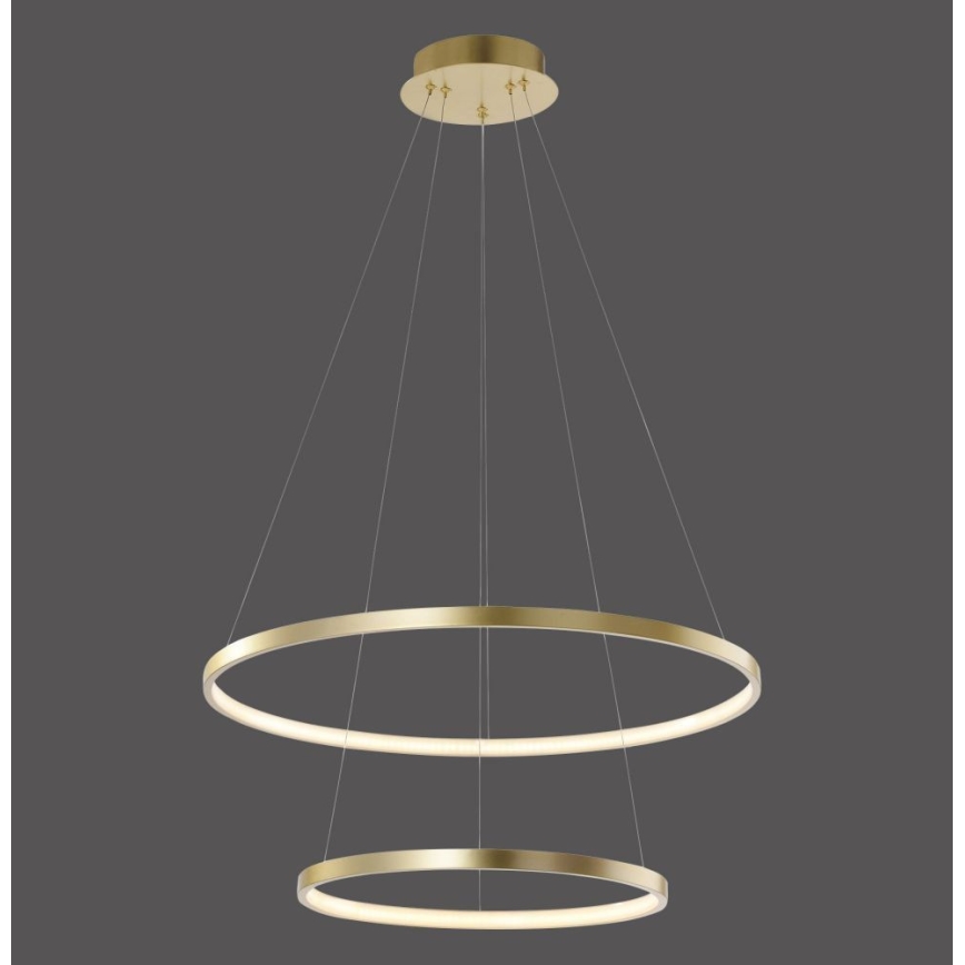 Leuchten Direkt 11525-12 -Suspension LED avec fil CIRCLE 1xLED/18,5W/230V + LED/23,5W