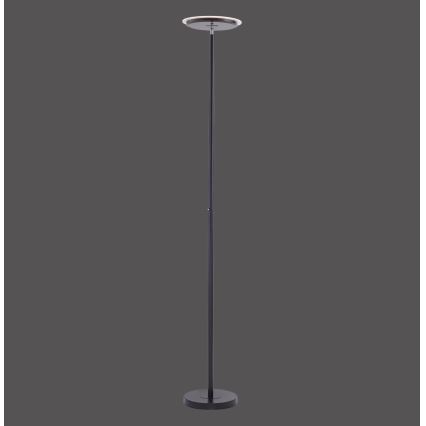 Leuchten Direkt 11729-18 - Lampadaire à intensité variable HANS LED/22W/230V