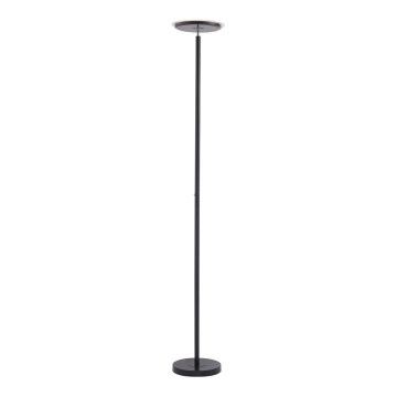 Leuchten Direkt 11729-18 - Lampadaire dimmable LED HANS LED/22W/230V
