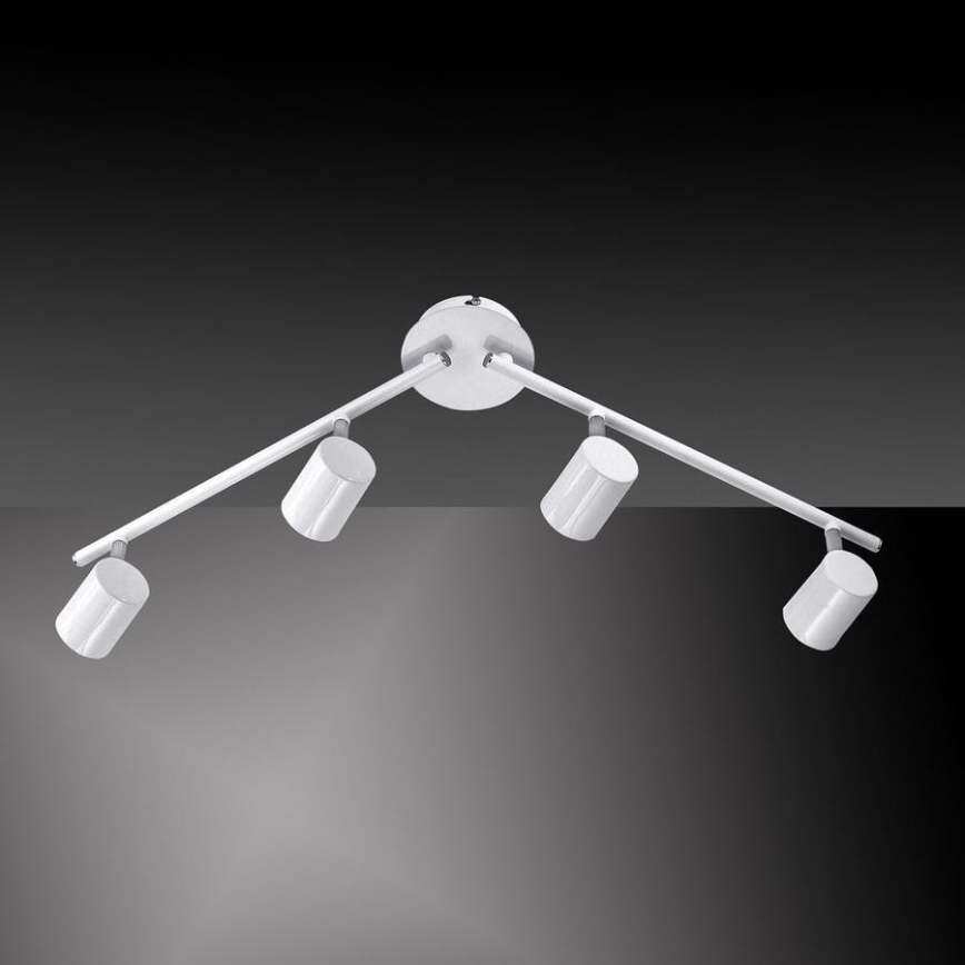 Leuchten Direkt 11944-16 - Faretto LED TARIK 4xGU10/5W/230V bianco