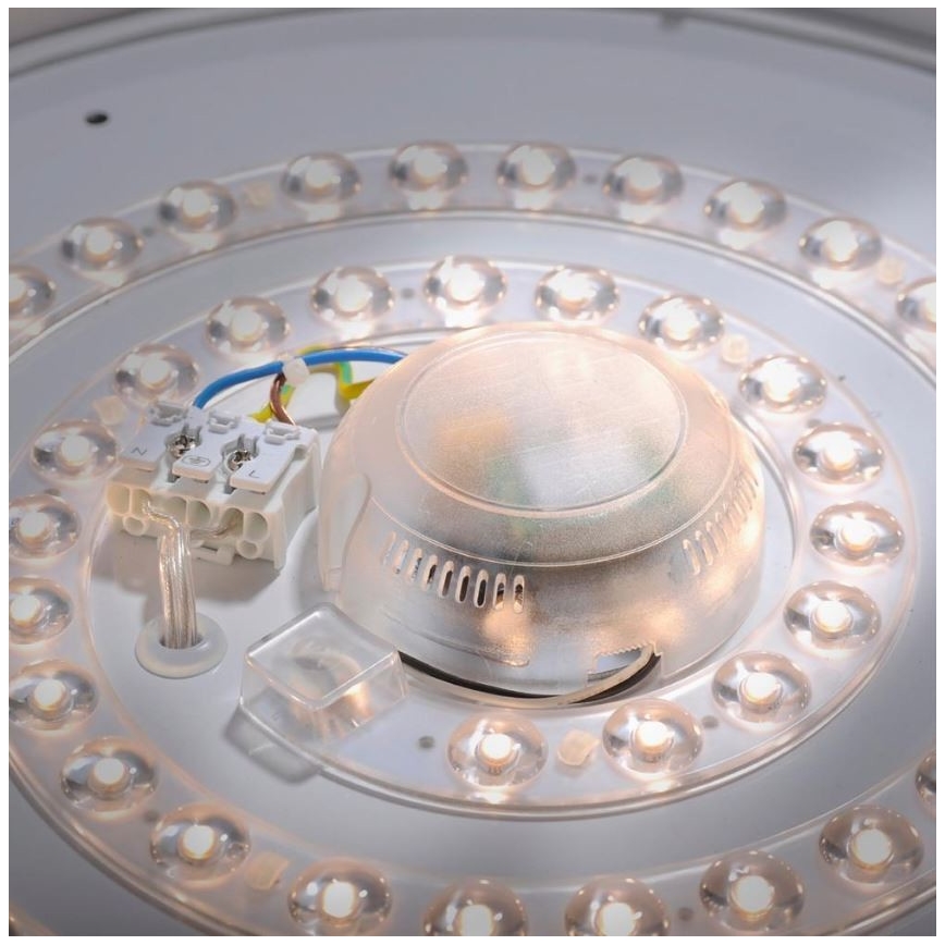 Leuchten Direkt 14422-17 - plafonnier salle de bain à intensité variable avec un détecteur LAVINIA LED/18W/230V IP44