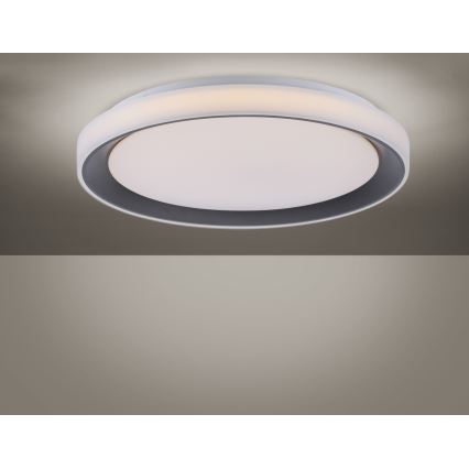 Leuchten Direkt 14659-18 - Plafoniera LED RGB dimmerabile LOLA LED/24W/230V Tuya + telecomando
