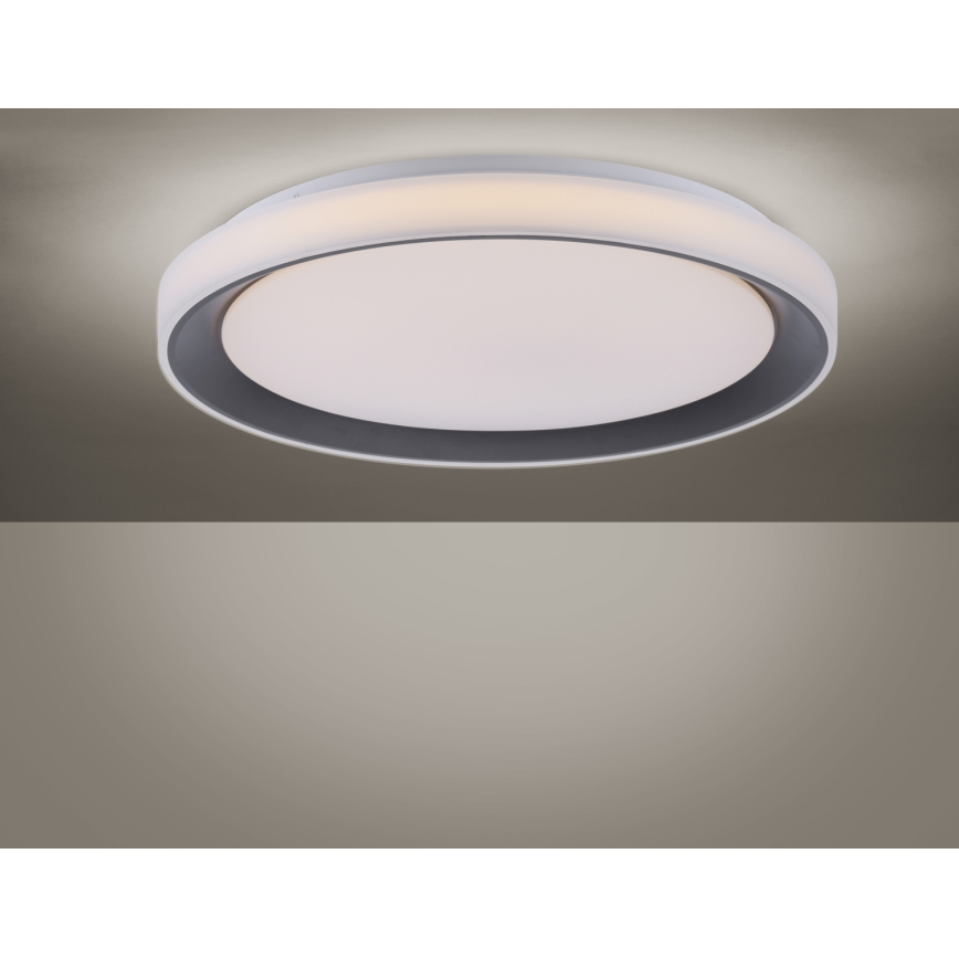 Leuchten Direkt 14659-18 - Plafonnier dimmable LED RGB LOLA LED/24W/230V Tuya + télécommande