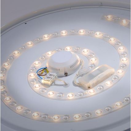 Leuchten Direkt 14822-17 - Plafoniera LED da bagno con sensore LAVINIA LED/40W/230V IP44