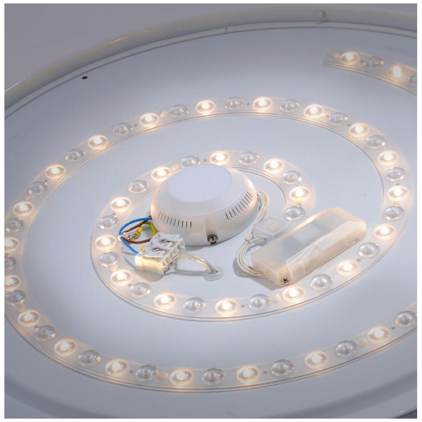Leuchten Direkt 14822-17 - Plafonnier salle de bain avec un détecteur LAVINIA LED/40W/230V IP44