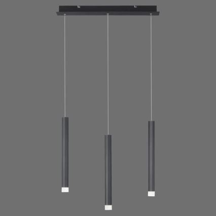 Leuchten Direkt 15203-18 - Lampadario a LED su una corda 3xLED/4,8W/230V nero