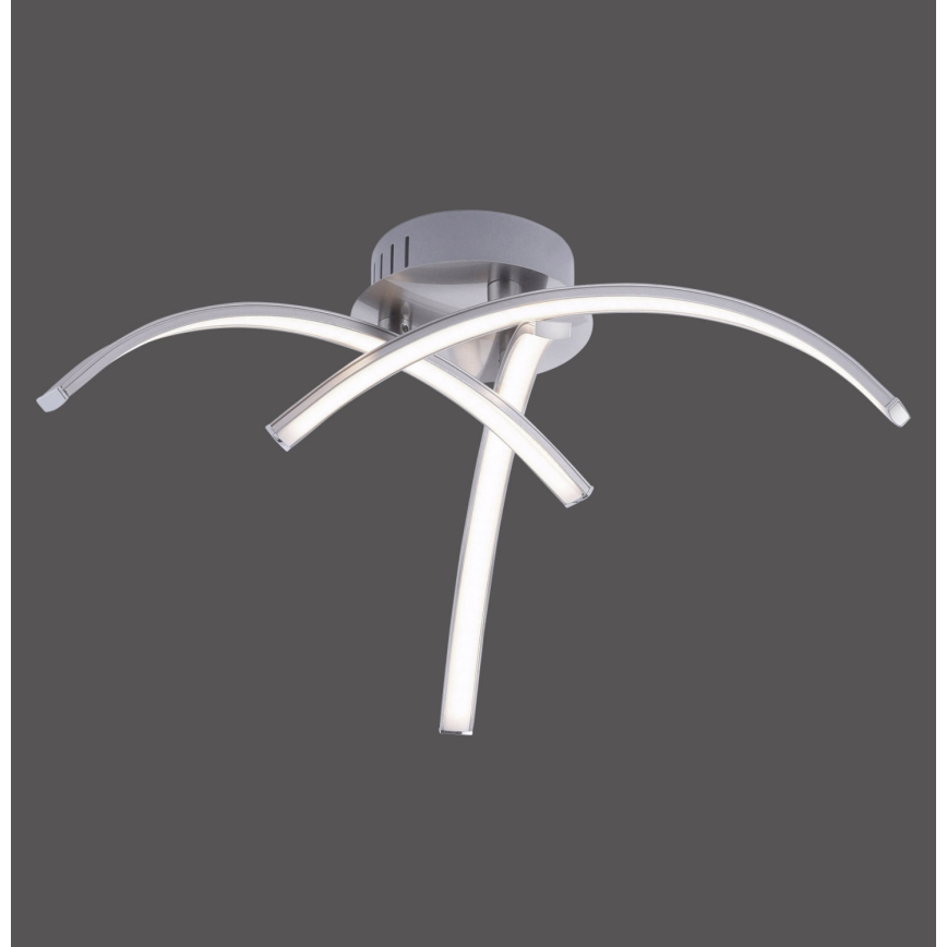 Leuchten Direkt 15341-55 - LED-Aufbauleuchte VALERIE 3xLED/3,7W/230V
