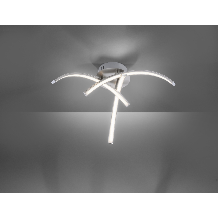 Leuchten Direkt 15341-55 - LED-Aufbauleuchte VALERIE 3xLED/3,7W/230V