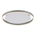 Leuchten Direkt 15391-95 - Plafonnier à intensité variable RITUS LED/20W/230V chrome mat