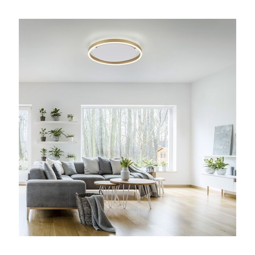 Leuchten Direkt 15392-60 – Dimmbare LED-Deckenleuchte RITUS LED/30W/230V Messing