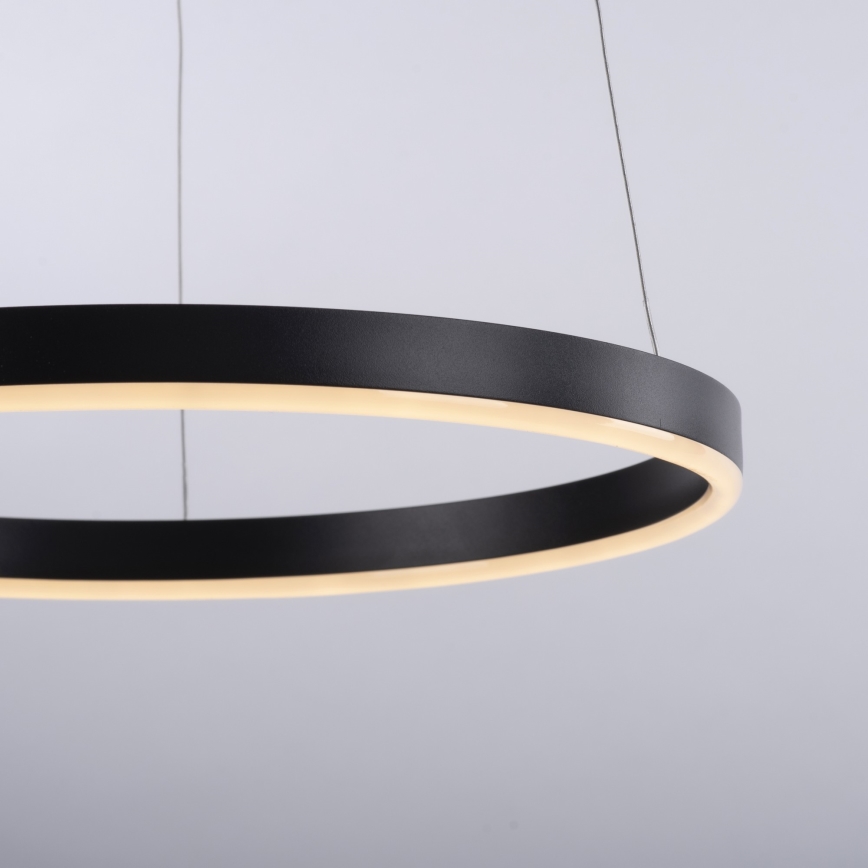 Leuchten Direkt 15393-13 - Suspension LED dimmable sur câble RITUS LED/23,5W/230V noir