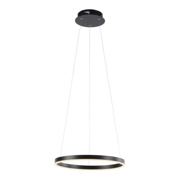 Leuchten Direkt 15393-13 - Suspension LED dimmable sur câble RITUS LED/23,5W/230V noir