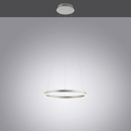 Leuchten Direkt 15393-95 - Suspension filaire à intensité variable RITUS LED/20W/230V chrome mat