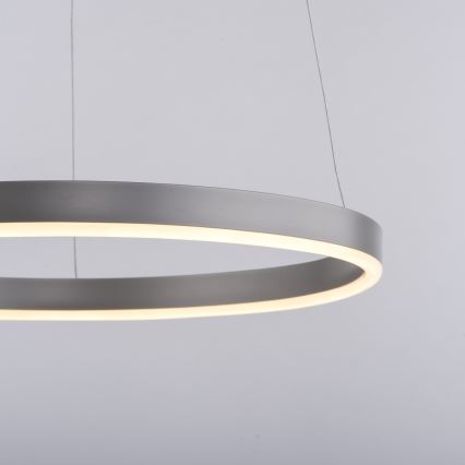 Leuchten Direkt 15393-95 - Suspension filaire à intensité variable RITUS LED/20W/230V chrome mat