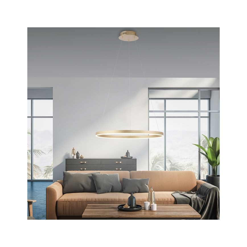 Leuchten Direkt 15394-60 - Suspension filaire à intensité variable RITUS LED/30W/230V