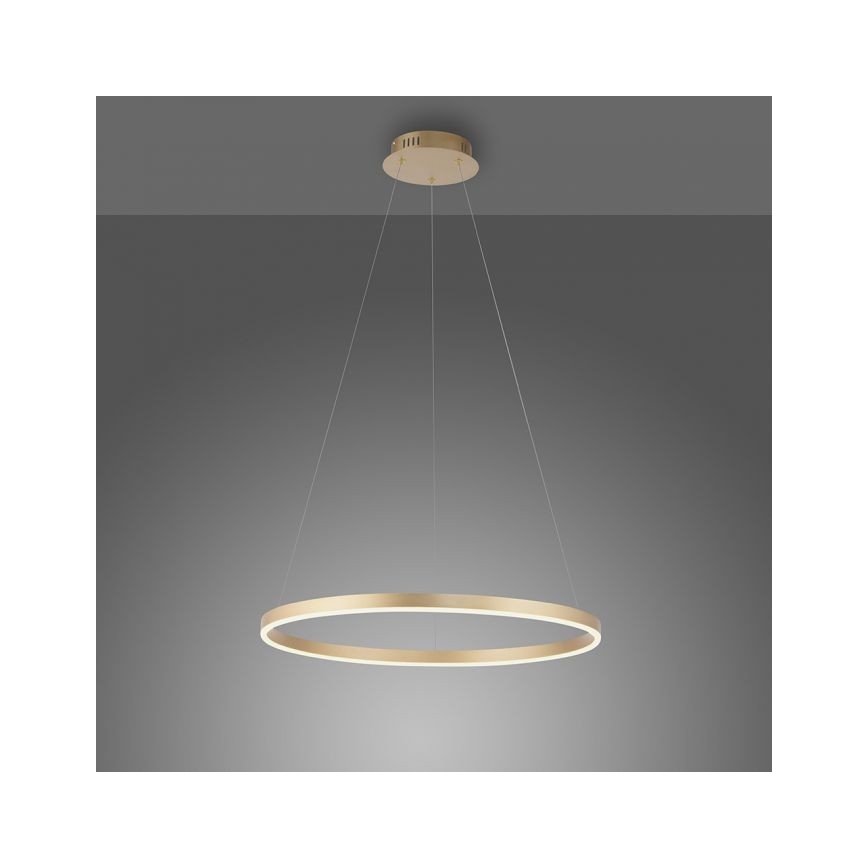 Leuchten Direkt 15394-60 - Suspension filaire à intensité variable RITUS LED/30W/230V