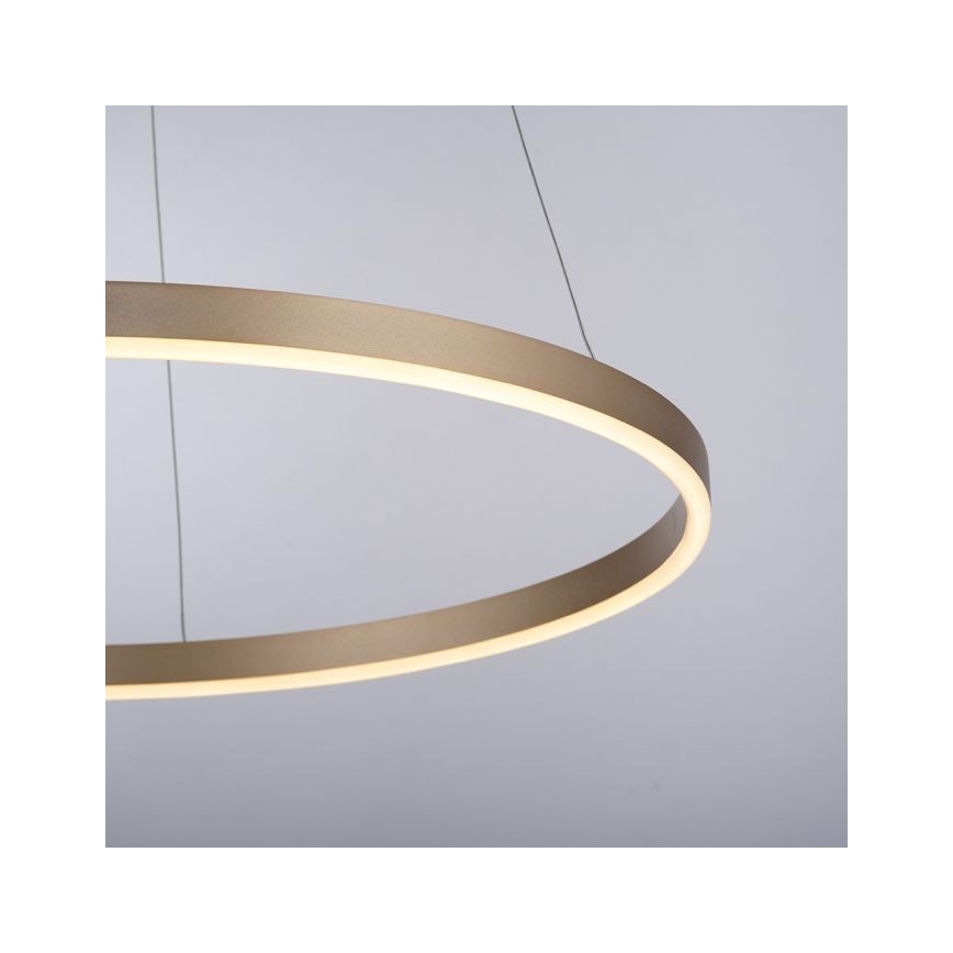 Leuchten Direkt 15394-60 - Suspension filaire à intensité variable RITUS LED/30W/230V