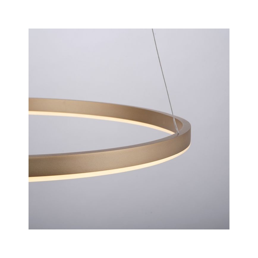 Leuchten Direkt 15394-60 - Suspension filaire à intensité variable RITUS LED/30W/230V