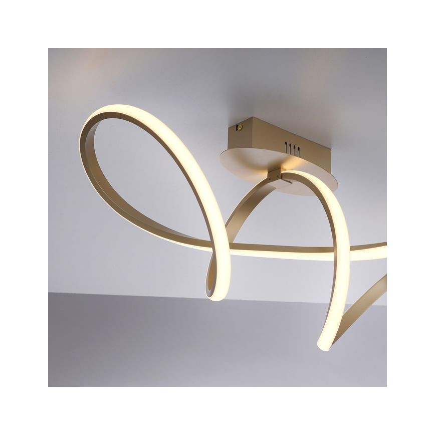 Leuchten Direkt 15403-60 - Lustre monté en sruface LED à intensité variable MARIA LED/15,5W/230V