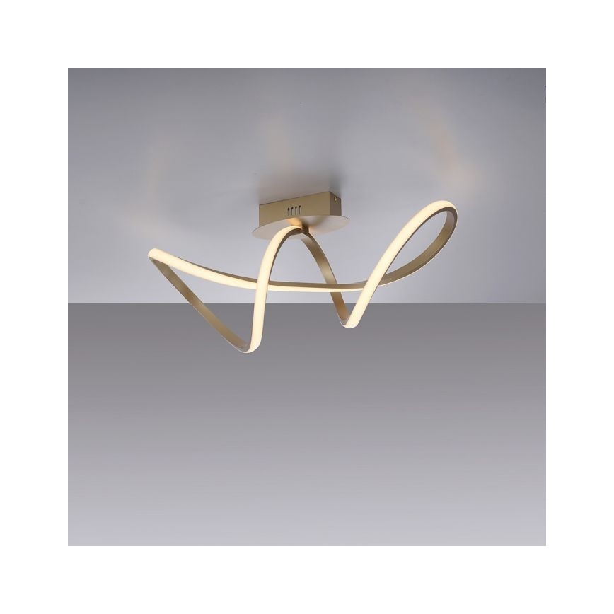 Leuchten Direkt 15403-60 - Lustre monté en sruface LED à intensité variable MARIA LED/15,5W/230V