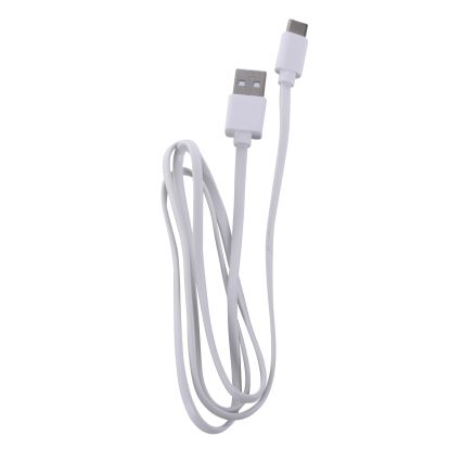 Leuchten Direkt 19250-16 - LED Lampada da tavolo ricaricabile dimmerabile per esterni EURIA LED/3W/5V IP54 bianco