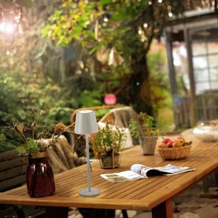 Leuchten Direkt 19250-40 - LED Lampe de table rechargeable extérieure à intensité variable EURIA LED/3W/5V IP54 gris