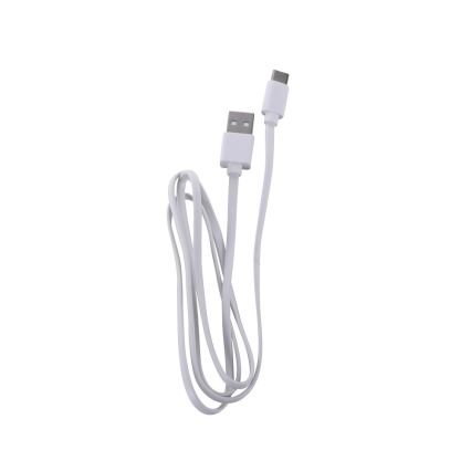 Leuchten Direkt 19250-40 - LED Lampe de table rechargeable extérieure à intensité variable EURIA LED/3W/5V IP54 gris