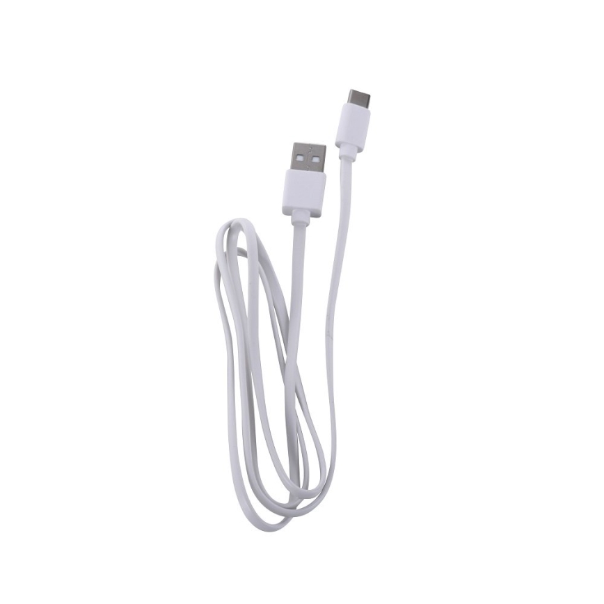 Leuchten Direkt 19250-40 - LED Lampe de table rechargeable extérieure à intensité variable EURIA LED/3W/5V IP54 gris