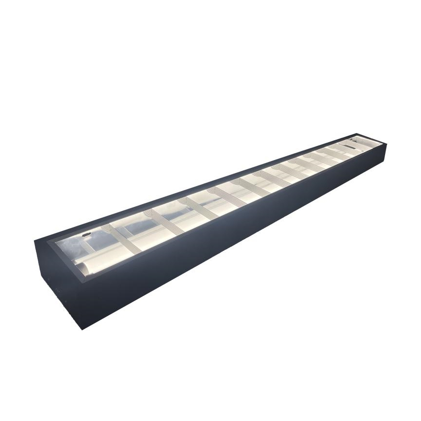 Leuchtstofflampe T8 2xG13/18W/230V 120 cm schwarz