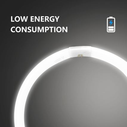 Leuchtstoffröhre T9 G10q/40W/230V 6500K - Aigostar