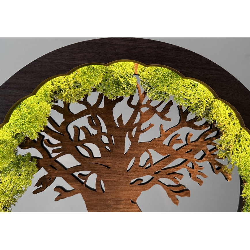 Li-Go 23604/DUB2 - Lampada da tavolo decorativa dimmerabile a LED/12W/230V 20x22 cm rovere/muschio e albero