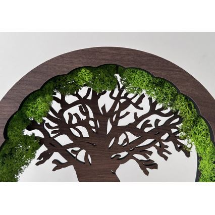 Li-Go 23604/DUB2 - Lampada da tavolo decorativa dimmerabile a LED/12W/230V 20x22 cm rovere/muschio e albero