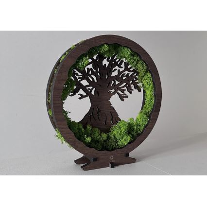 Li-Go 23604/DUB2 - Décoration de table LED dimmable LED/12W/230V 20x22 cm chêne/mousse et arbre