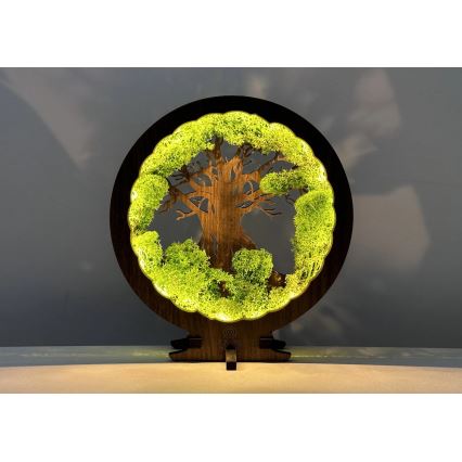 Li-Go 23604/DUB2 - Décoration de table LED dimmable LED/12W/230V 20x22 cm chêne/mousse et arbre