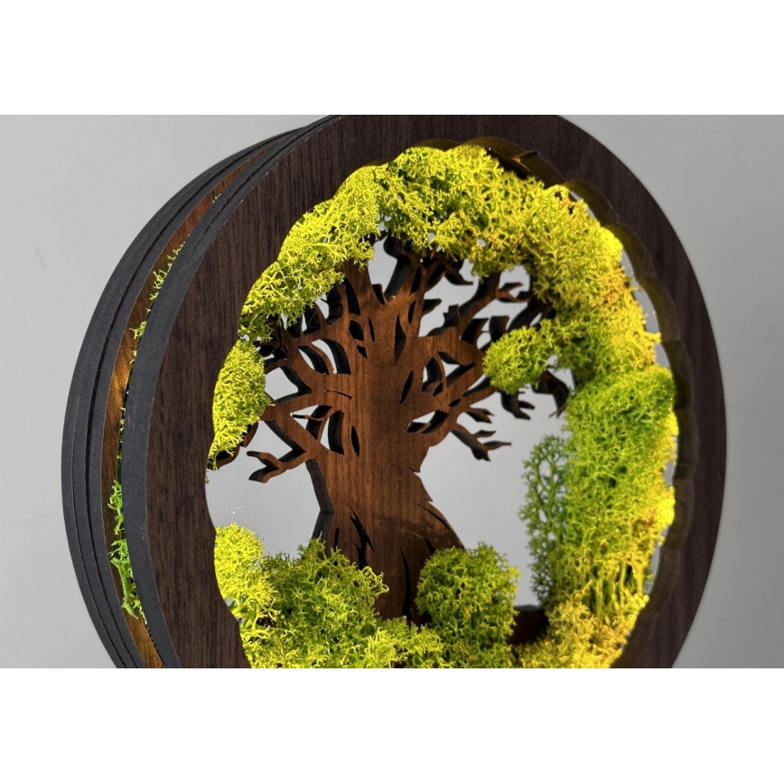 Li-Go 23604/DUB2 - Décoration de table LED dimmable LED/12W/230V 20x22 cm chêne/mousse et arbre