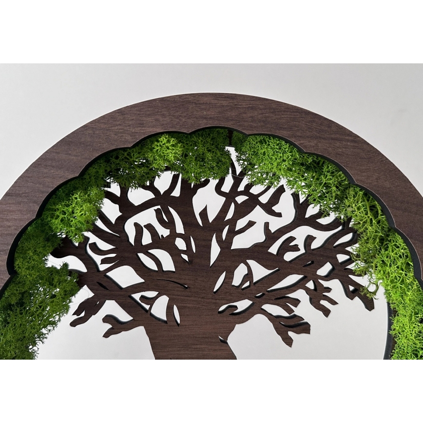 Li-Go 23631/DUB2 - Decorazione da tavolo dimmerabile a LED/12W/230V 30x31 cm rovere/muschio e albero