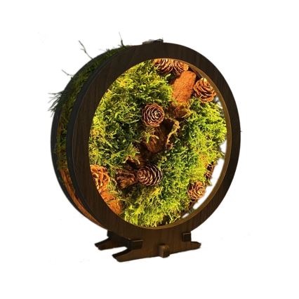 Li-Go 23654 - Lampada da tavolo decorativa dimmerabile a LED/12W/230V 20x22 cm noce/composizione con muschio
