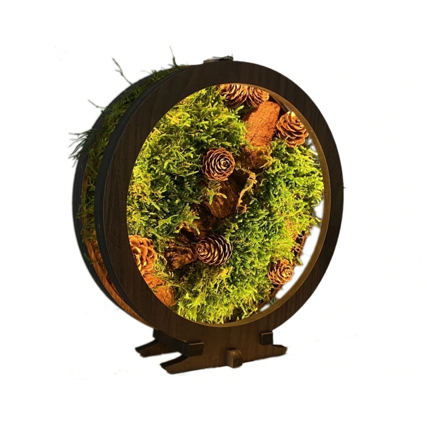 Li-Go 23654 - Lampada da tavolo decorativa dimmerabile a LED/12W/230V 20x22 cm noce/composizione con muschio