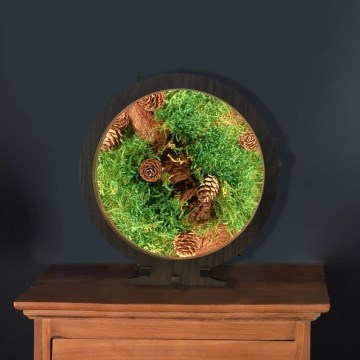 Li-Go 23654 - Lampada da tavolo decorativa dimmerabile a LED/12W/230V 20x22 cm noce/composizione con muschio