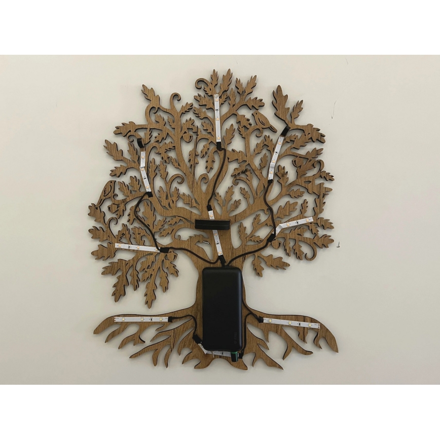 Li-Go 23673/DUB2 - Décoration murale LED dimmable LED/10W/5V 20000 mAh 45x55 cm chêne + télécommande