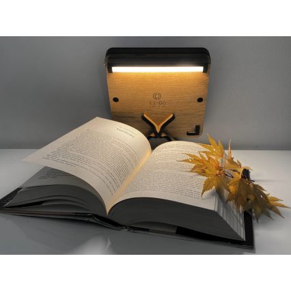 Li-Go 4070/DUB2 - Lampe décorative de table LED/12W/230V 19x19 cm chêne/cheval
