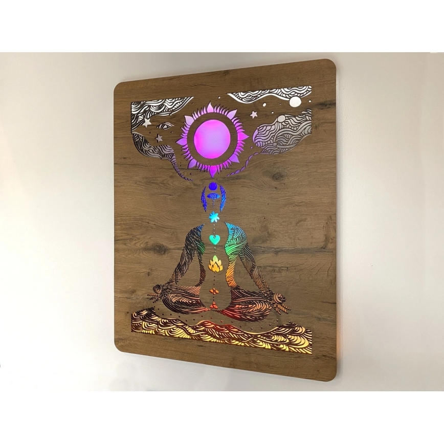 Li-Go 4421/A/4 - Decorazione da parete dimmerabile a LED LED/10W/5V 30000 mAh 70x90 cm rovere/chakra