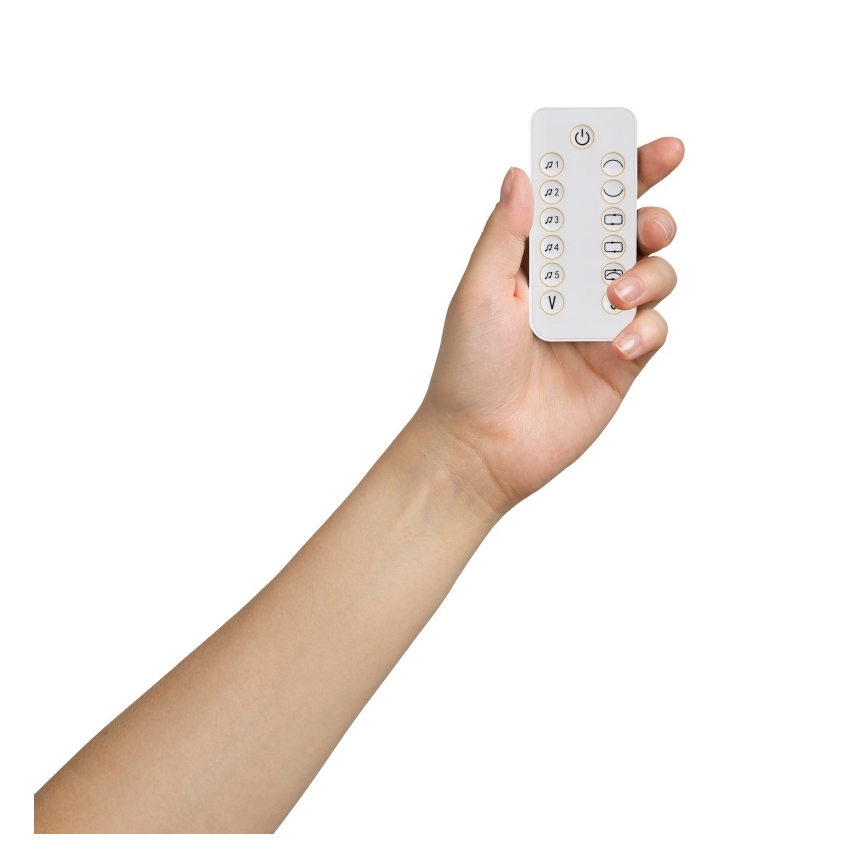 Lionelo - Babywippe mit Melodie OLIVIA Beige Natur + Fernbedienung
