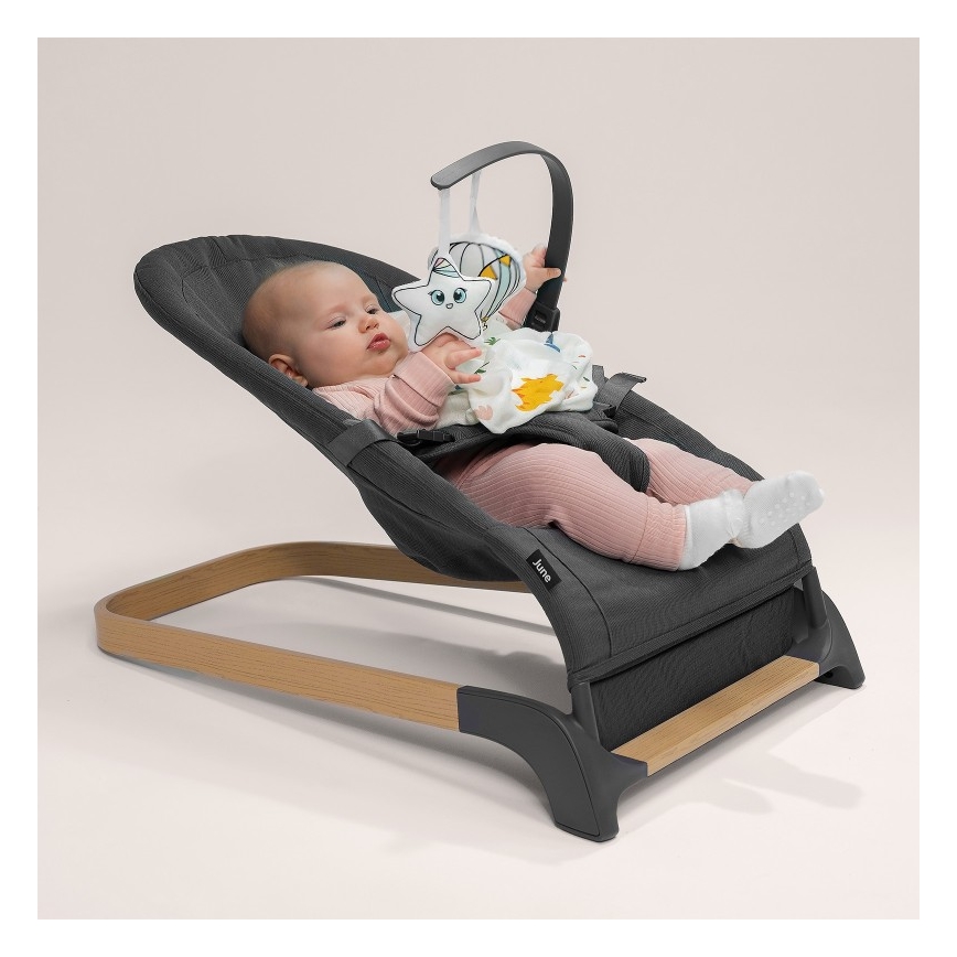 Lionelo - Balancelle pour bébé JUNE anthracite