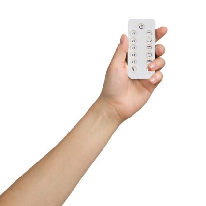 Lionelo - Dondolo per bambini con melodia OLIVIA Beige Natural con telecomando incluso