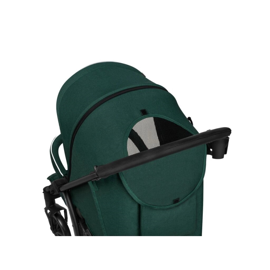 Lionelo - Kinderwagen ANNET PLUS grün