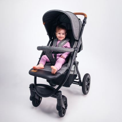 Lionelo - Kinderwagen ANNET TOUR grau