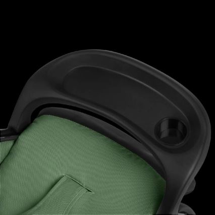 Lionelo - Kinderwagen EMMA PLUS grün/schwarz