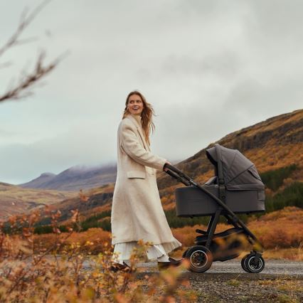 Lionelo - Kombinierter Kinderwagen 2-in-1 AMBER PLUS Grau Graphit